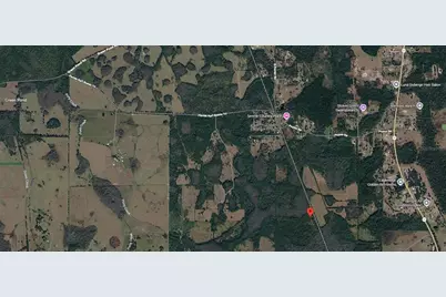 00 Van Fleet Trail, Polk City, FL 33868 - Photo 6