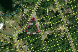 0 SE 169th Ct, Ocklawaha, FL 32179 - Photo 1