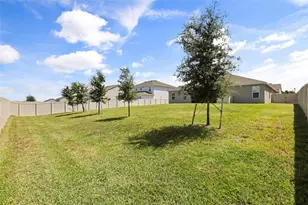 4924 Golden Zenith Wy, Mount Dora, FL 32757 - Photo 50