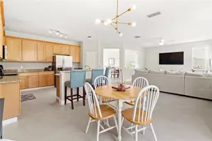 5045 Ballark St, Mount Dora, FL 32757 - Photo 8