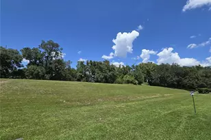 4139 Greenbluff Ct, Zellwood, FL 32798 - Photo 6