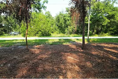 1615 NE 497th Street, Old Town, FL 32680 - Photo 4