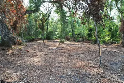 1615 NE 497th Street, Old Town, FL 32680 - Photo 1