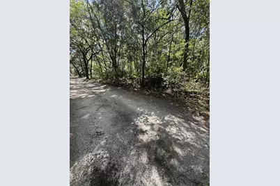 Tbd SW 152nd Place, Dunnellon, FL 34432 - Photo 2