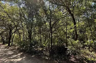 Tbd SW 152nd Pl, Dunnellon, FL 34432 - Photo 1