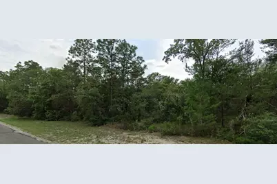 0 SW 151 Place, Dunnellon, FL 34432 - Photo 1