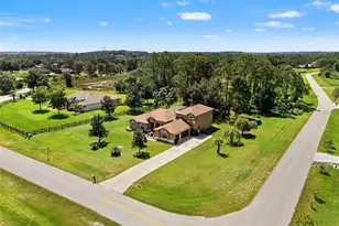 21312 Marsh View Ct, Clermont, FL 34715 - Photo 6