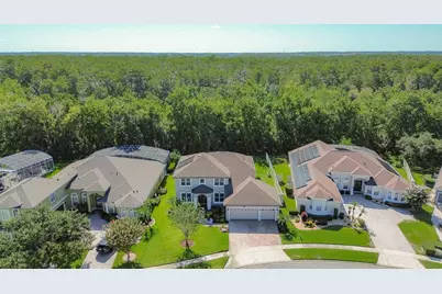 14632 Braddock Oak Drive, Orlando, FL 32837 - Photo 10