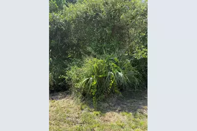 Matchett, Belle Isle, FL 32809 - Photo 8