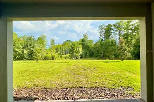 17431 Saw Palmetto Ave, Clermont, FL 34714 - Photo 36