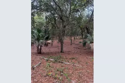 Lot 1 NE 127th Street, Fort Mc Coy, FL 32134 - Photo 4