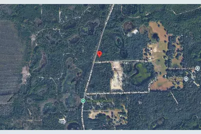 Lot 1 NE 127th Street, Fort Mc Coy, FL 32134 - Photo 8