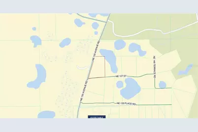 Lot 1 NE 127th Street, Fort Mc Coy, FL 32134 - Photo 6
