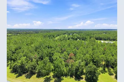 24150 Greenwood Crossing, Eustis, FL 32736 - Photo 8