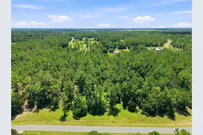 24150 Greenwood Crossing, Eustis, FL 32736 - Photo 10