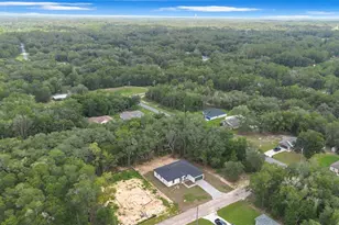 10615 N Didiscus Dr, Citrus Springs, FL 34434 - Photo 6