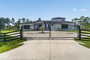 20722 Quinella St, Orlando, FL 32833 - Photo 2