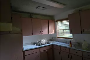 6981 Holly St, Mount Dora, FL 32757 - Photo 6
