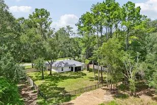 10115 N Athenia Dr, Citrus Springs, FL 34434 - Photo 46
