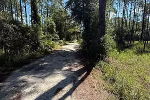 0 SW 158 Ln, Dunnellon, FL 34432 - Photo 1