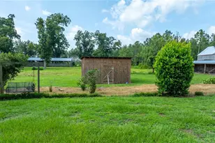 19520 168th St, Live Oak, FL 32060 - Photo 62