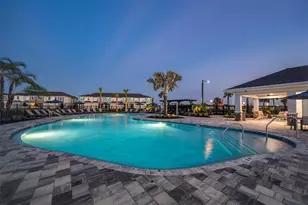 675 Ness Island Dr, Mount Dora, FL 32757 - Photo 18