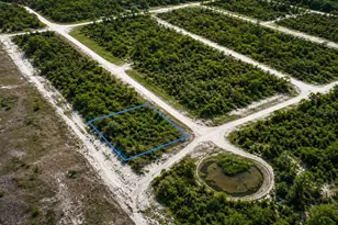 205 Phesant Blvd, Sebring, FL 33872 - Photo 1