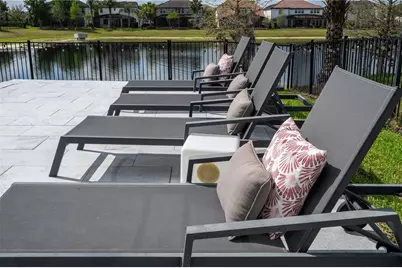 17526 Black Rail Street, Windermere, FL 34786 - Photo 10