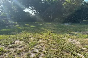 1248 31st St NW, Winter Haven, FL 33881 - Photo 10