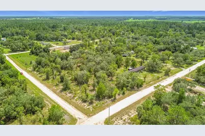 0 SE 68th Terrace, Morriston, FL 32668 - Photo 10