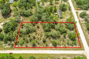 0 SE 68th Terrace, Morriston, FL 32668 - Photo 1