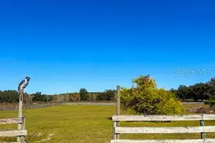 22711 State Road 44, Eustis, FL 32736 - Photo 30