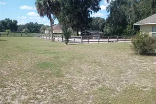 13300 NE 38th Ave, Anthony, FL 32617 - Photo 2