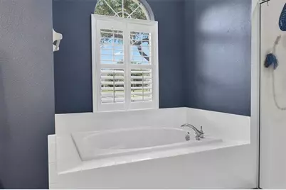 8920 Bridgeport Bay Circle, Mount Dora, FL 32757 - Photo 22