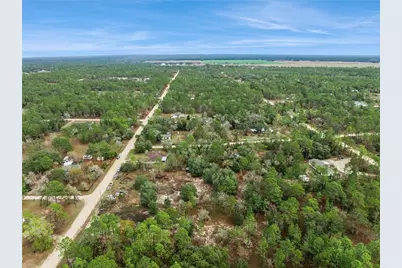 14170 SE 4th Street, Williston, FL 32696 - Photo 28