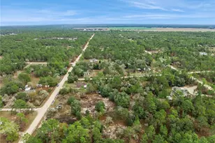 14170 SE 4 St, Williston, FL 32696 - Photo 28