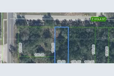 6 E Viola Street, Avon Park, FL 33825 - Photo 2