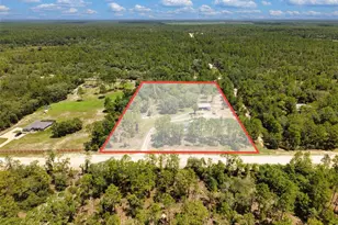 12251 SE 66th Pl, Morriston, FL 32668 - Photo 4