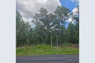 Tbd SW 62nd Ct, Ocala, FL 34470 - Photo 2