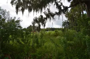 4045 Honey Bee Pt Rd, Sanford, FL 32773 - Photo 8