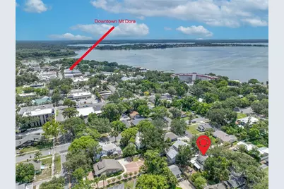 834 N Alexander Street, Mount Dora, FL 32757 - Photo 2