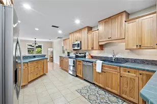 7838 Sloewood Dr, Mount Dora, FL 32757 - Photo 10