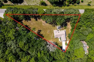 7838 Sloewood Dr, Mount Dora, FL 32757 - Photo 2