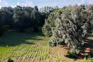 1066 Culbreath Rd, Brooksville, FL 34602 - Photo 20