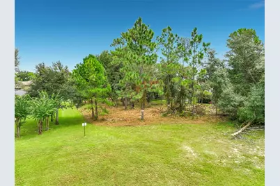 262 Osprey Hammock Trail, Sanford, FL 32771 - Photo 10