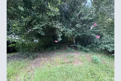 3935 SE 140th Lane, Summerfield, FL 34491 - Photo 2