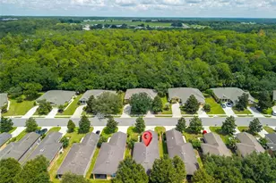 30539 Lipizzan Terrace, Mount Dora, FL 32757 - Photo 50