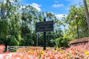 1791 Astor Farms Pl, Sanford, FL 32771 - Photo 44