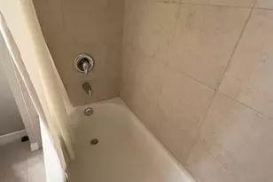 11165 Lime Flower Dr, Winter Garden, FL 34787 - Photo 22
