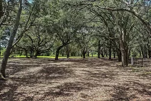 229 Streamwater Wy, Groveland, FL 34736 - Photo 12